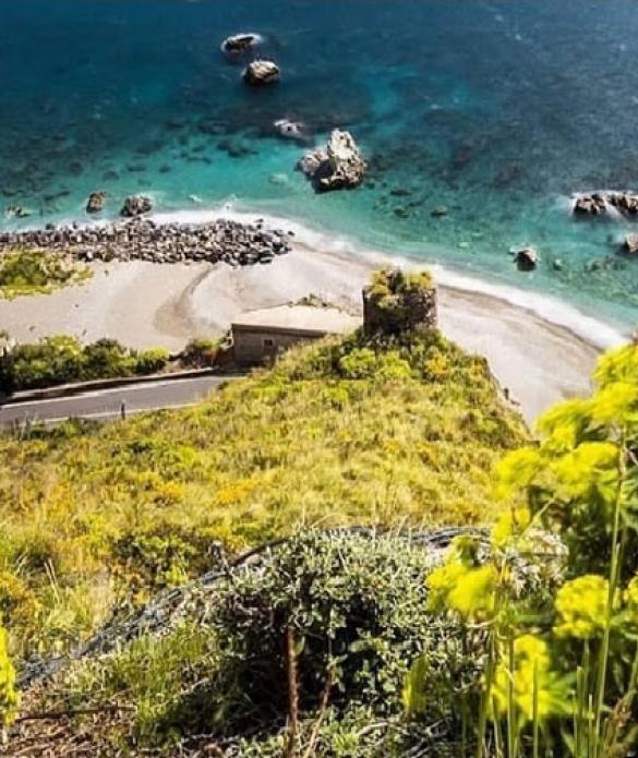 Capo Alì