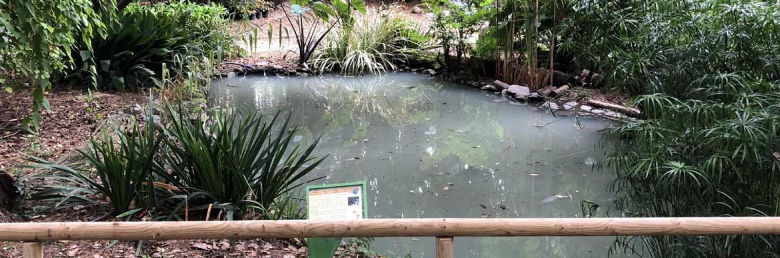Orto botanico Messina