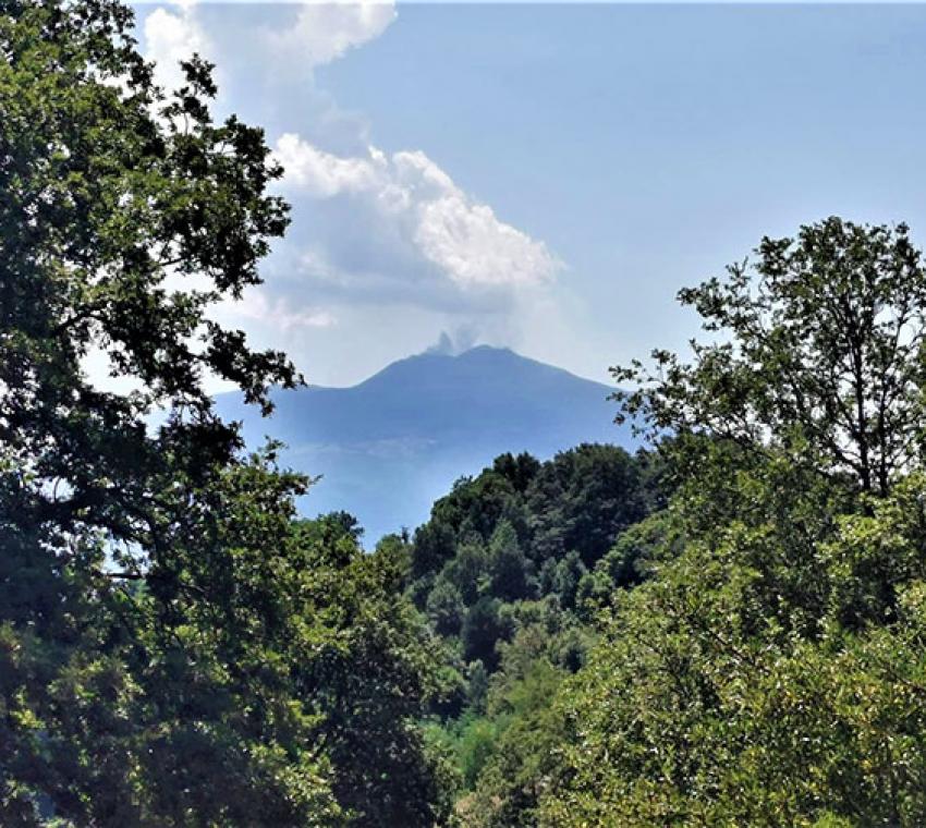 Bosco di Malabotta