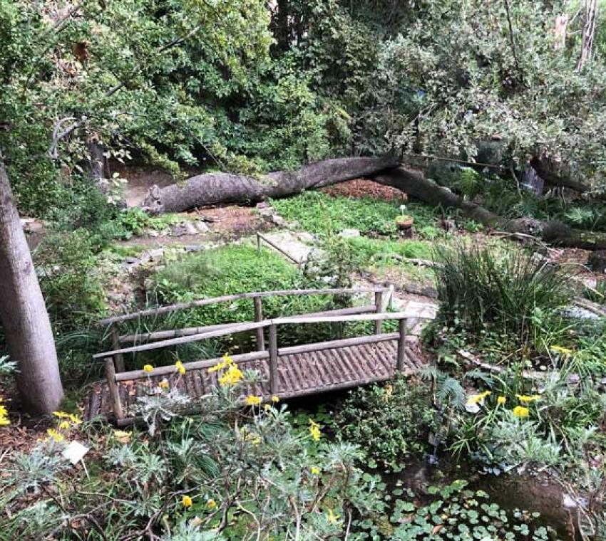 Orto botanico Messina