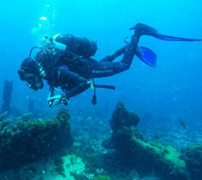 Immersioni Messina