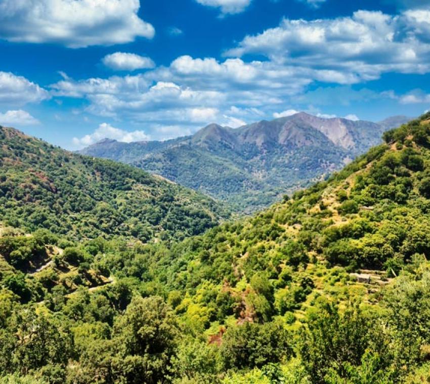 Riserva Naturale Orientata di Fiumedinisi e Monte Scuderi