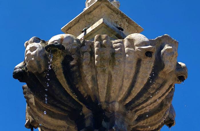 La Fontana della Pigna