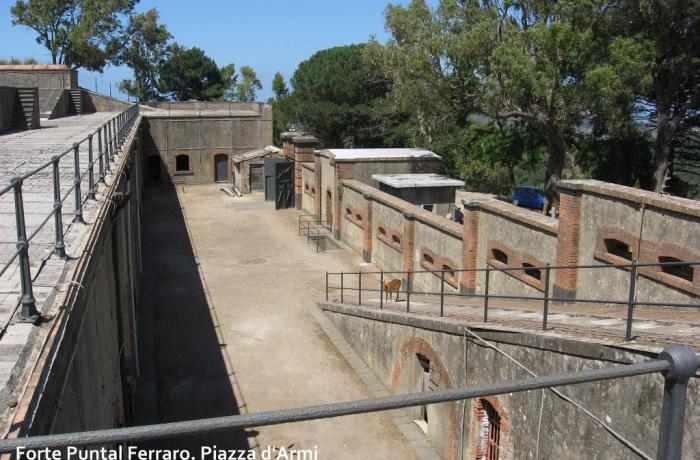 Puntal Ferraro