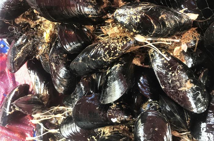 I Monti Peloritani da gustare