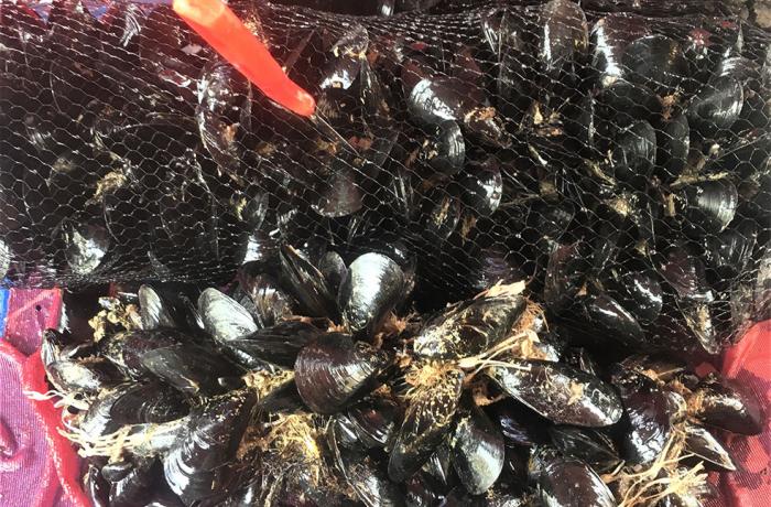 I Monti Peloritani da gustare