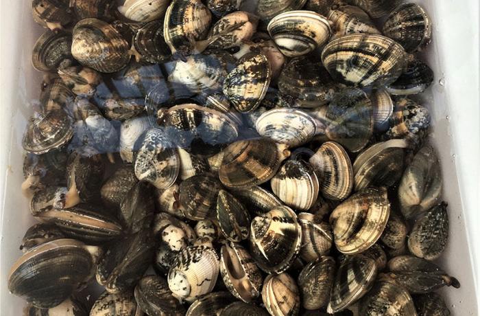 I Monti Peloritani da gustare