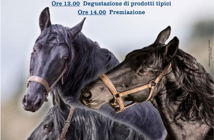Le Fiere agricole - Messina