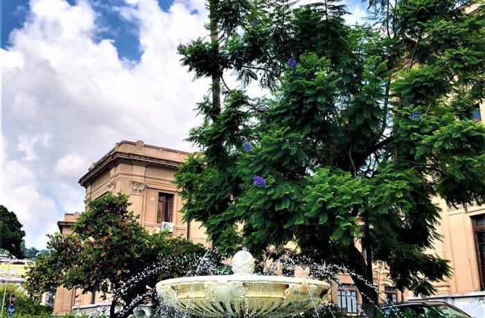 La Fontana Senatoria