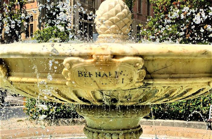 La Fontana Senatoria
