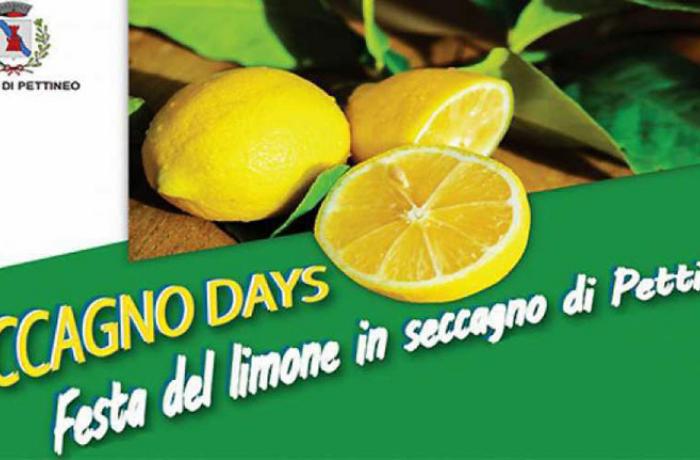 Sagre nei Nebrodi