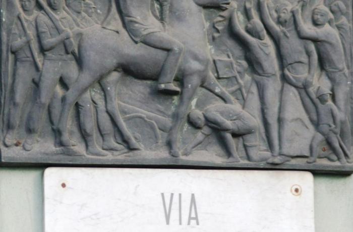 L’Albero di Garibaldi - Messina