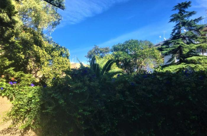 L’Albero di Garibaldi - Messina