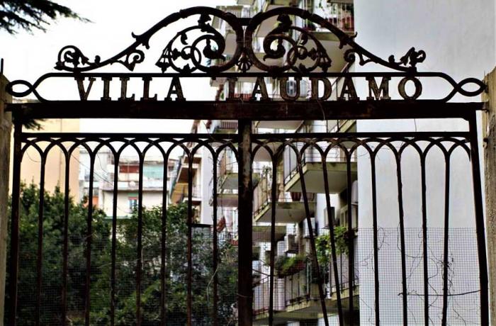 L’Albero di Garibaldi - Messina