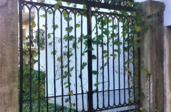 L’Albero di Garibaldi - Messina