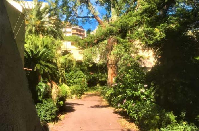 L’Albero di Garibaldi - Messina