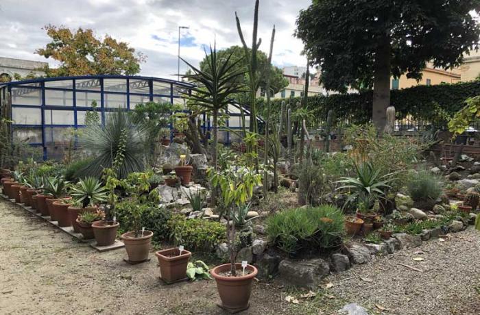 Orto botanico Messina