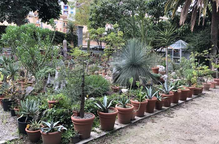 Orto botanico Messina