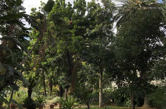 Orto botanico Messina