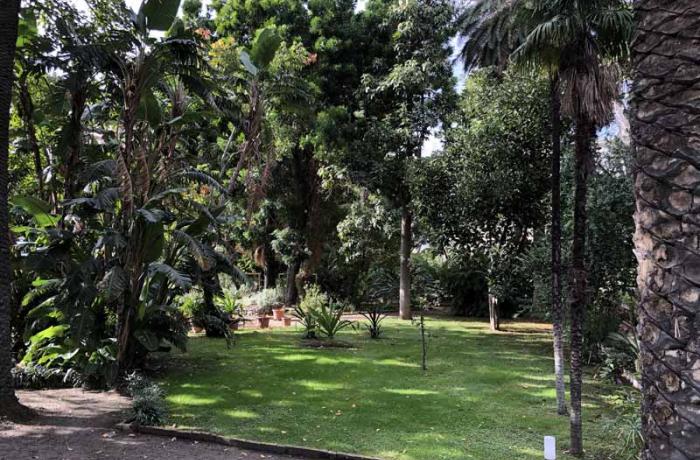 Orto botanico Messina