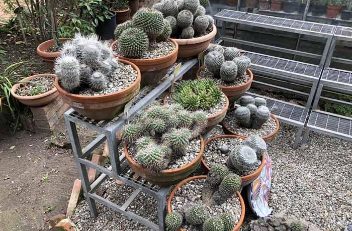 Orto botanico Messina