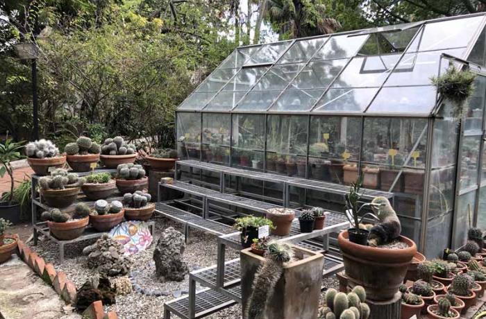 Orto botanico Messina