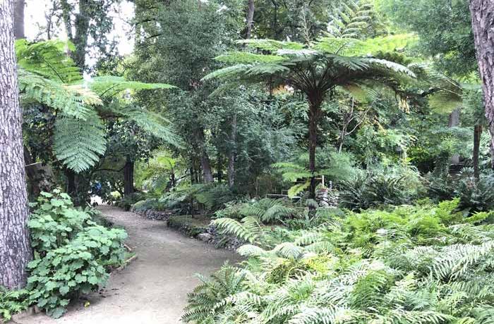 Orto botanico Messina