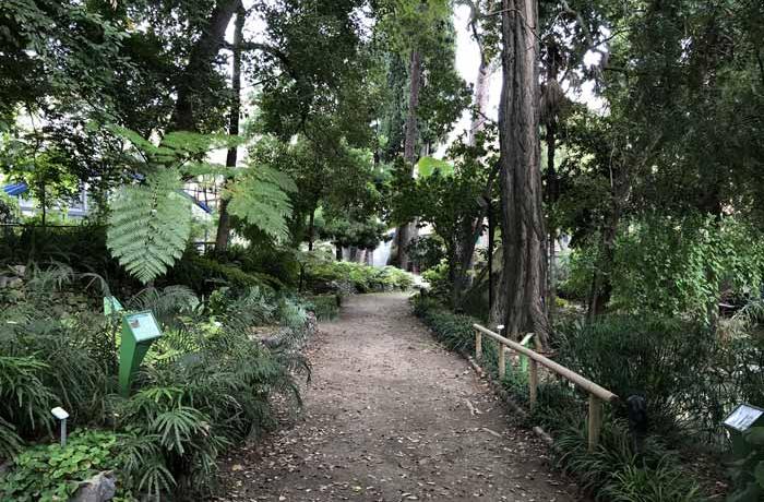 Orto botanico Messina