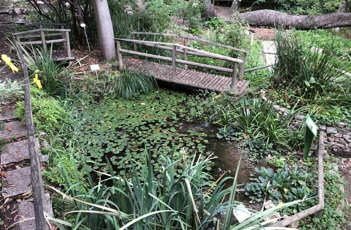 Orto botanico Messina