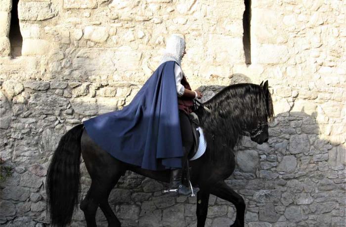 Feste Aragonesi a Montalbano Elicona 