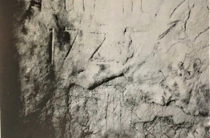 La Trovatura di Monte Scuderi