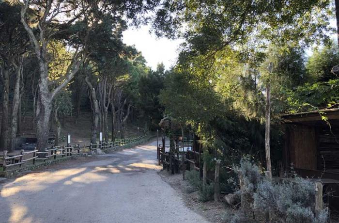 Colli Sarrizzo