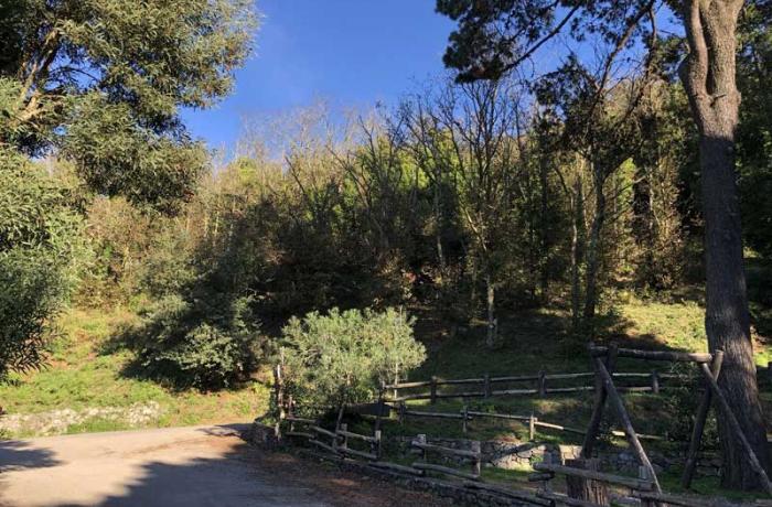 Colli Sarrizzo