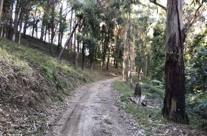 Colli Sarrizzo