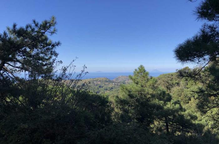 Colli Sarrizzo