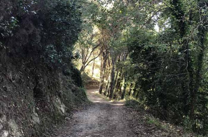 Colli Sarrizzo