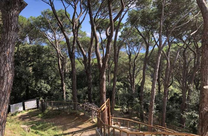 Colli Sarrizzo