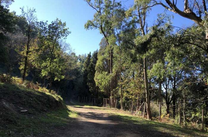 Colli Sarrizzo