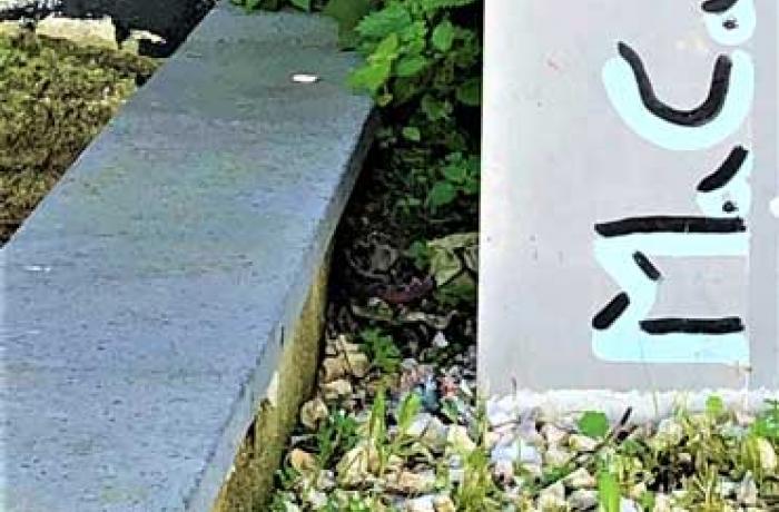 Distrart, la Street Art a Messina