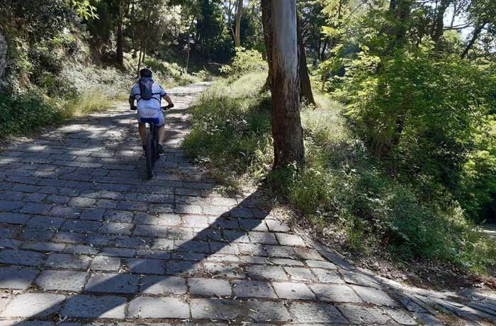 Mountain Bike Messina