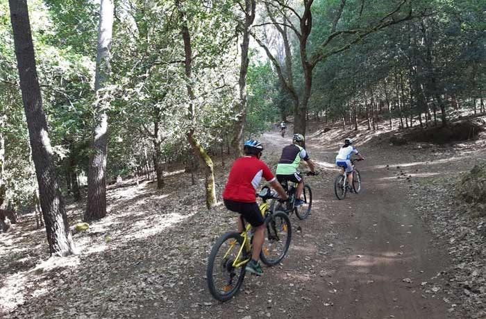 Mountain Bike Messina