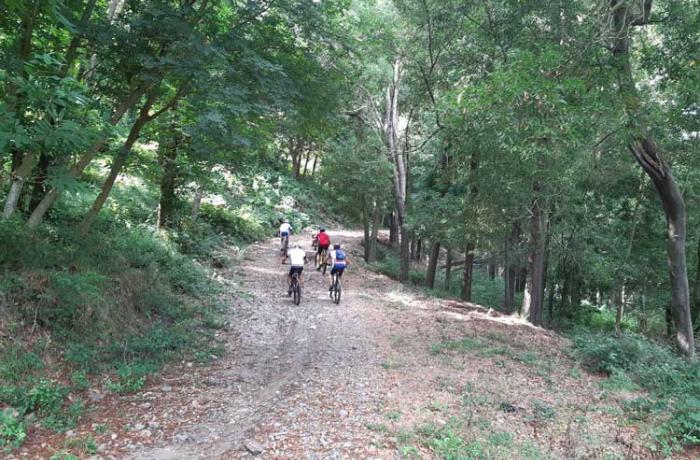 Mountain Bike Messina