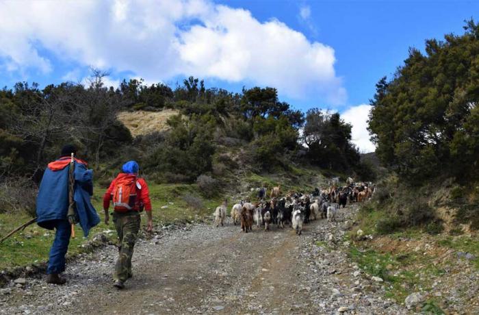 Trekking Messina