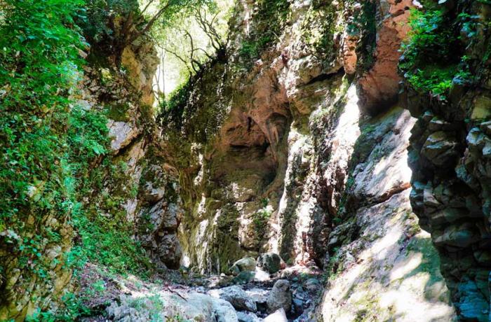 Riserva Naturale Orientata di Fiumedinisi e Monte Scuderi