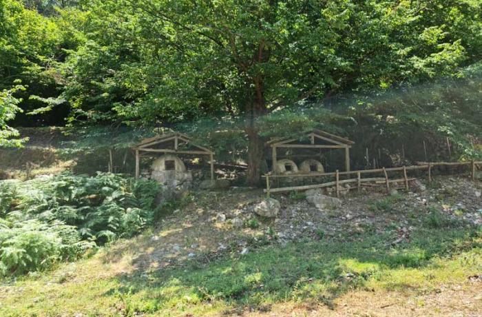 Riserva Naturale Orientata di Fiumedinisi e Monte Scuderi