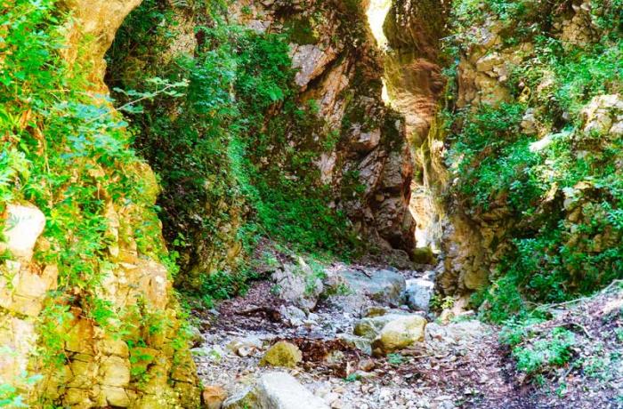 Riserva Naturale Orientata di Fiumedinisi e Monte Scuderi