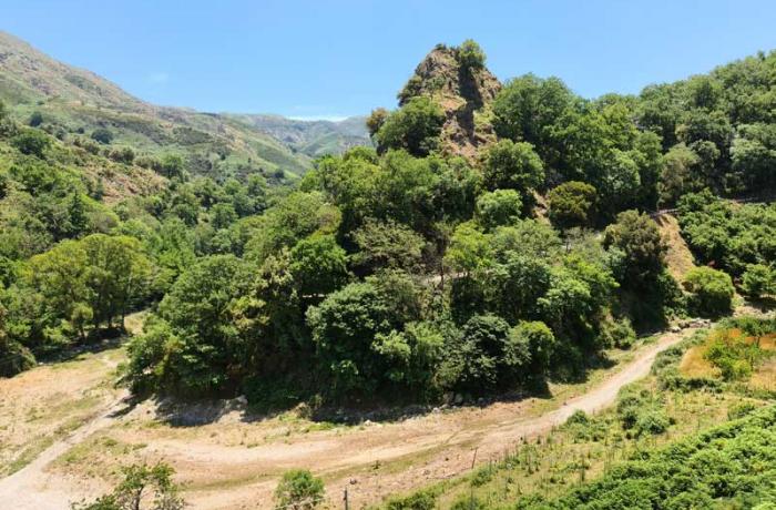 Riserva Naturale Orientata di Fiumedinisi e Monte Scuderi