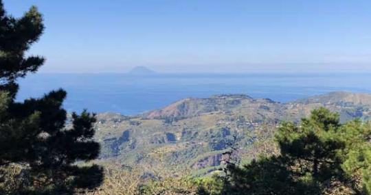 I Colli Sarrizzo
