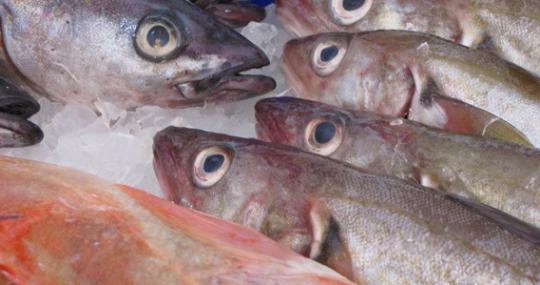 Sagre imperdibili 