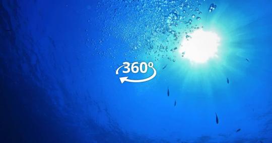 immersioni-stretto-messina-visitme